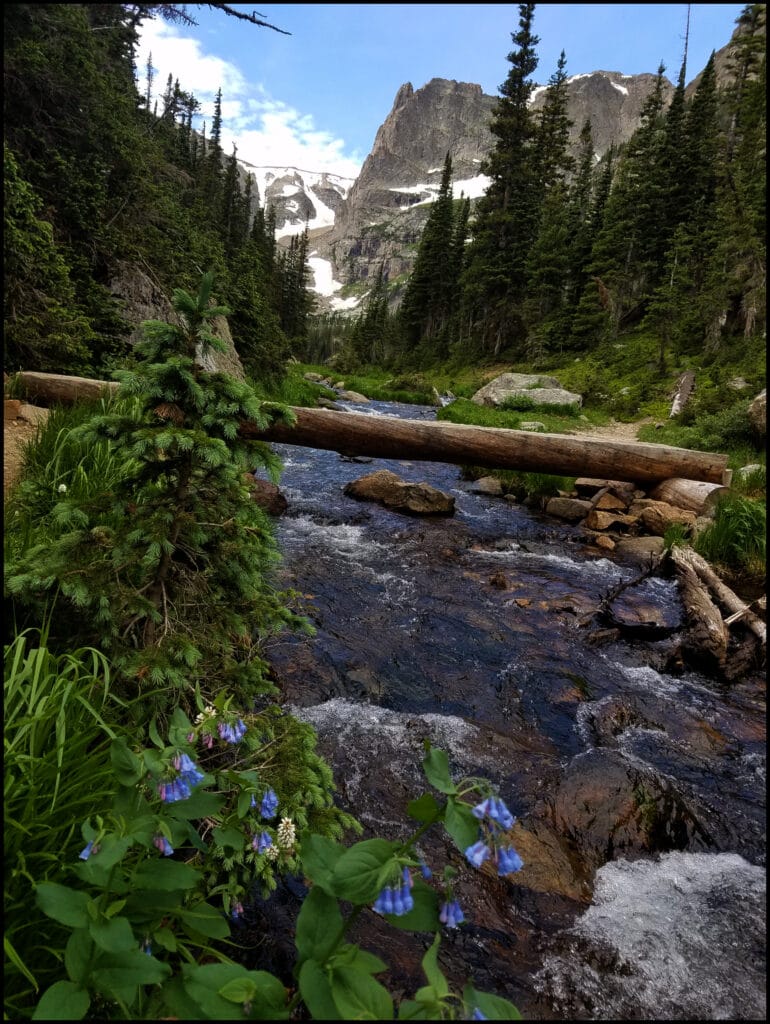 Odessa Lake Stream