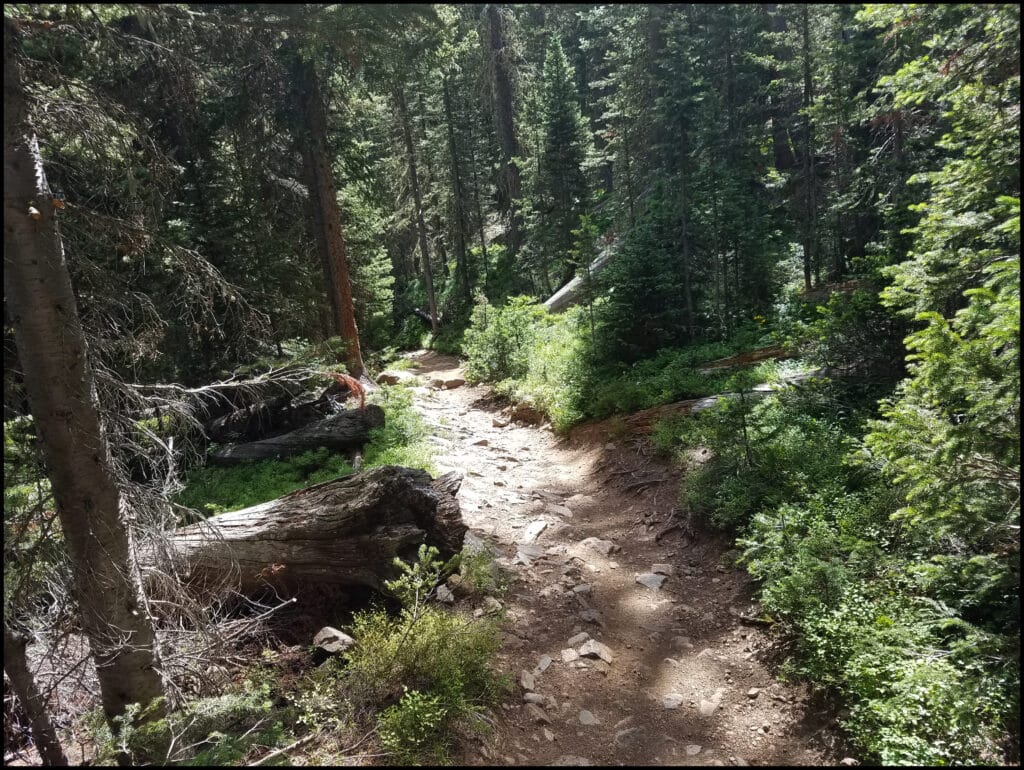 Hiking Trail Odessa to Fern My Favorite hike in Rocky Mountain National Park