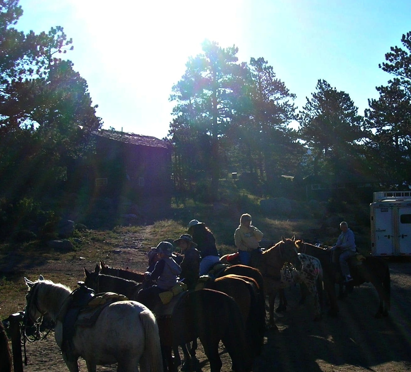 Horses Trail Riding Estes Park