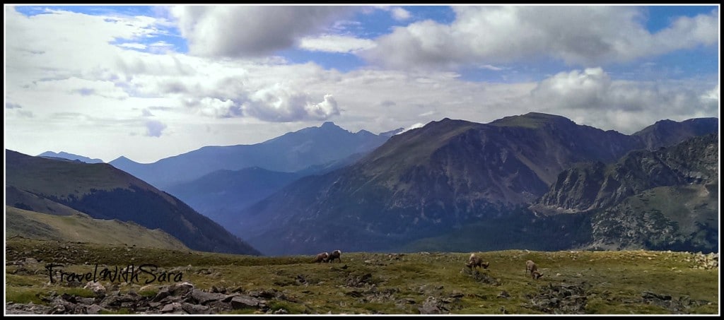 Sheep Trail Ridge Drive