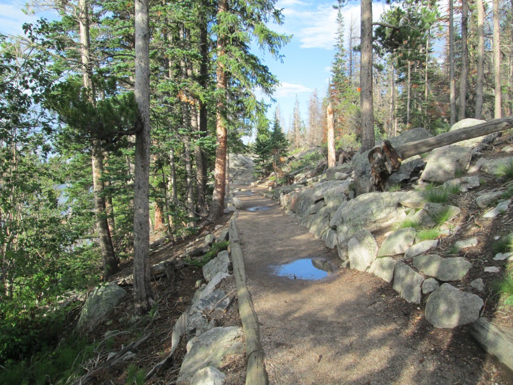 Trail At Sprague Lake