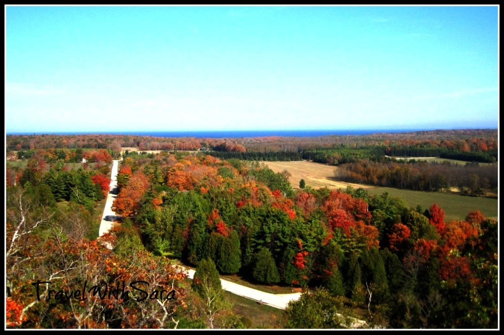 View From Tower In Washington County