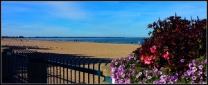 Beach From Boardwalk