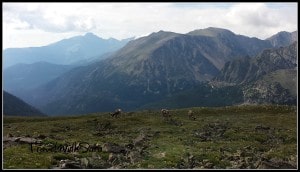 Trail Ridge Road Views