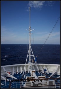 Carnival Dream Front Of Ship