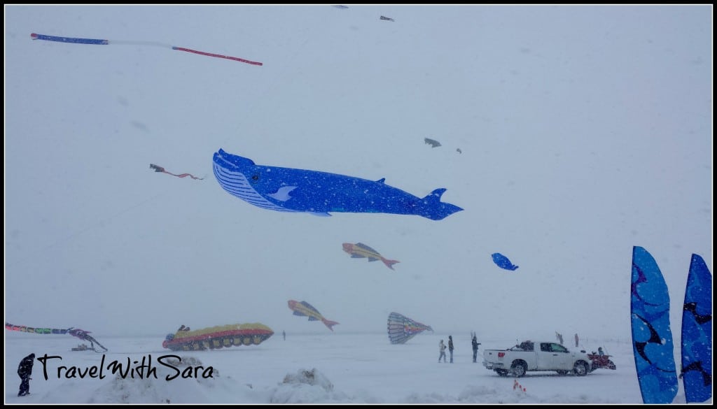 Whale At Kite Festival