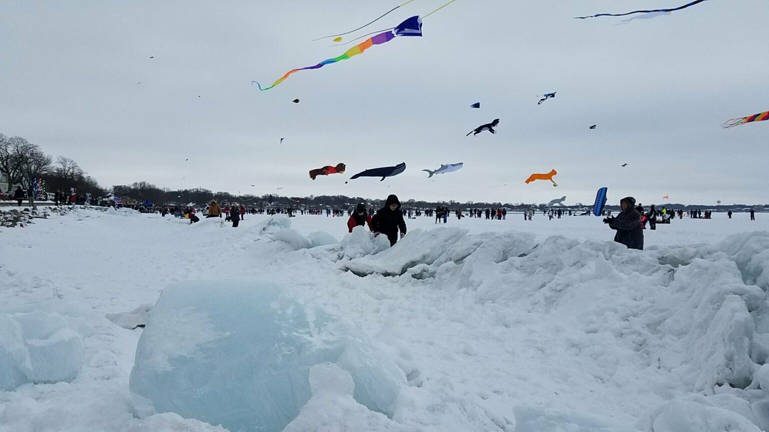 Color The Wind Kite Festival On A Frozen Lake In Clear Lake, Iowa