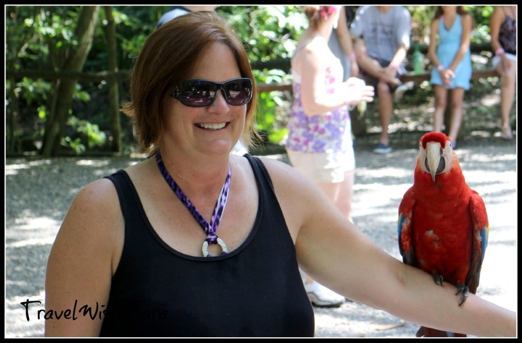 Sara and parrot