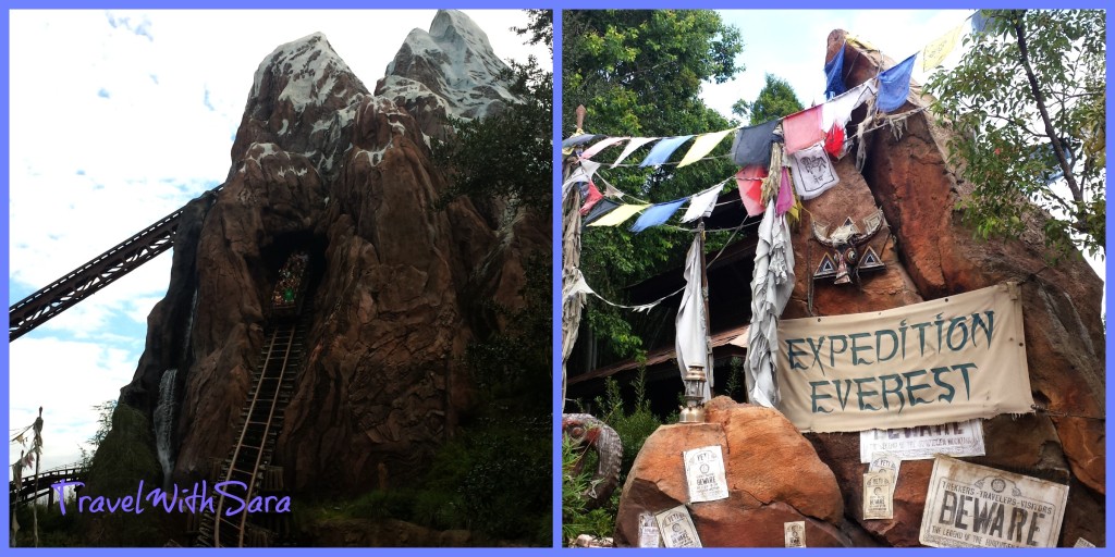 Animal Kingdom Expedition Everest