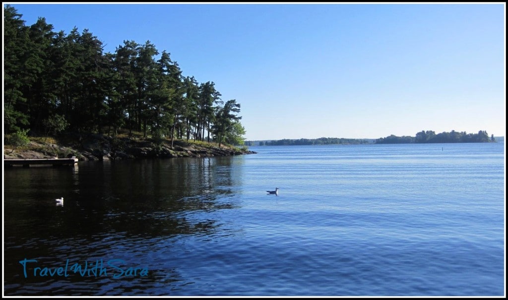 Wildlife Viewing Lake Kabetogama