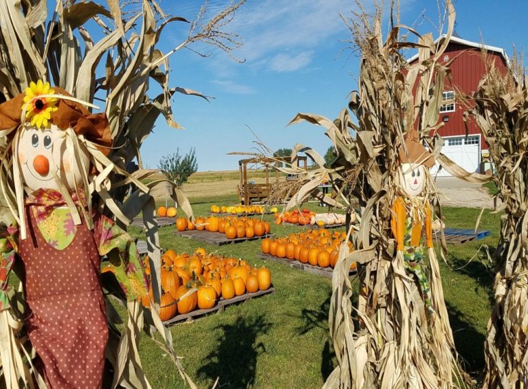 Enchanted Acres: Fall Fun In Iowa