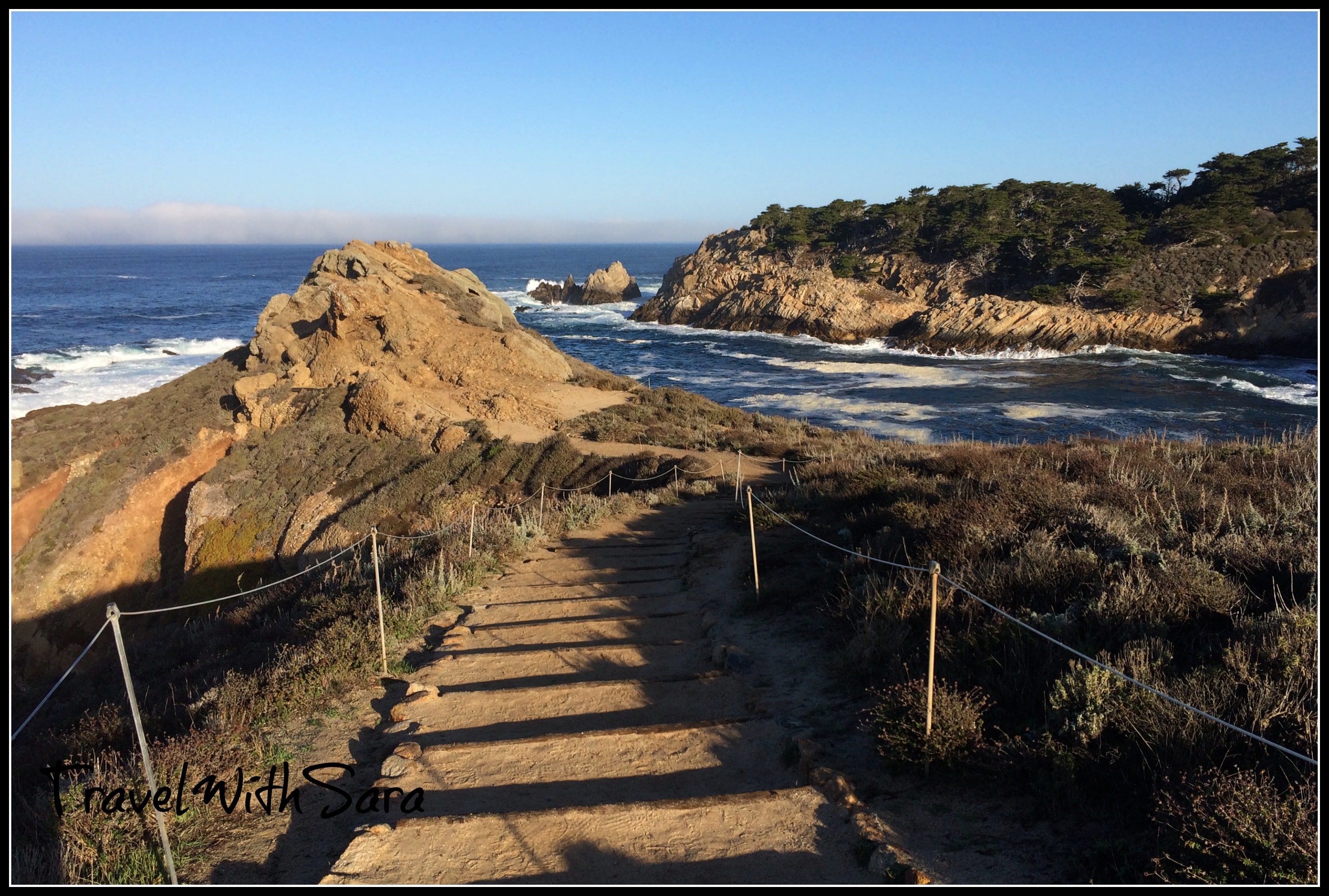 A Must Visit: Point Lobos State Natural Reserve California - Travel With  Sara