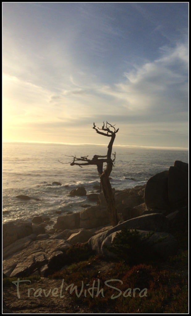 17 Mile Drive