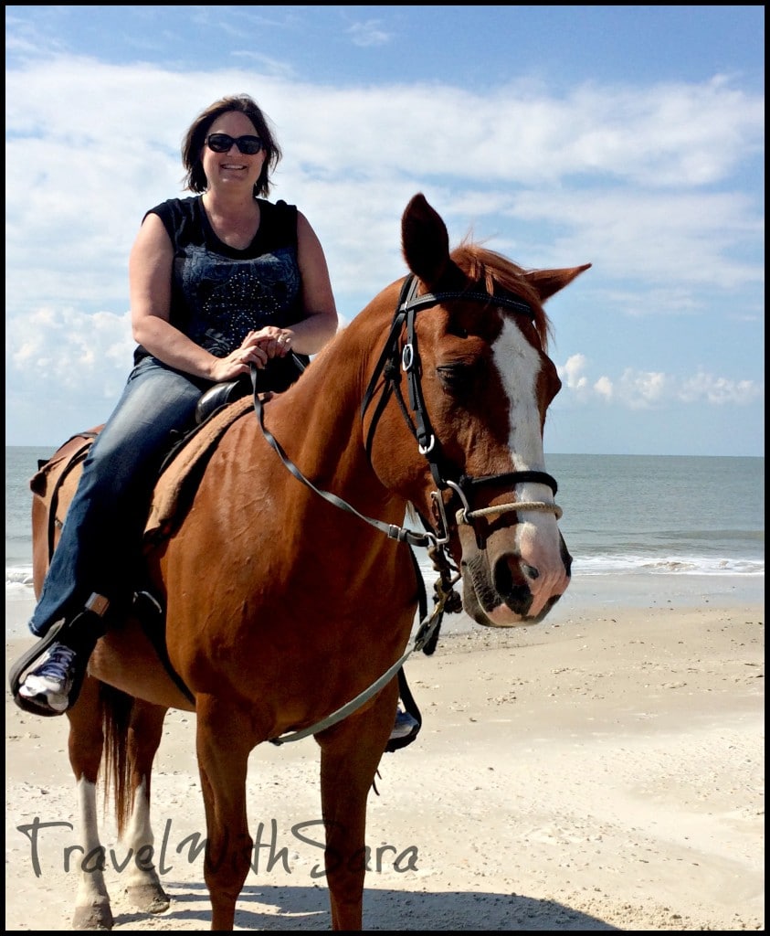 Horse on beach