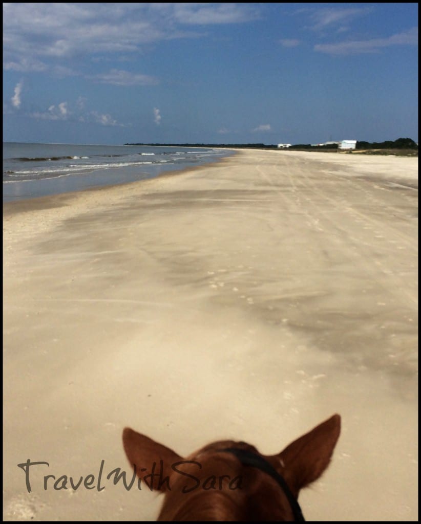 Horse on beach