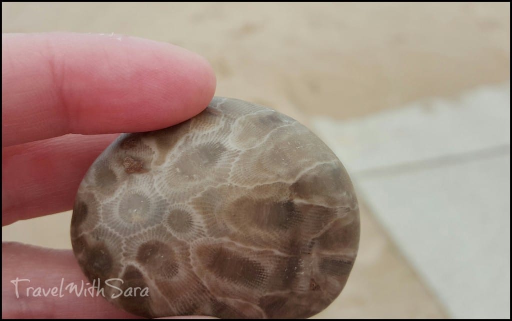 Petoskey Stone