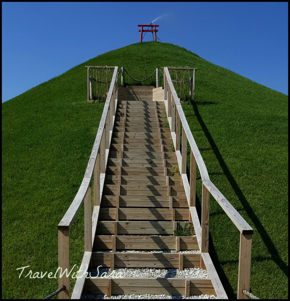 Japanese Garden Steps