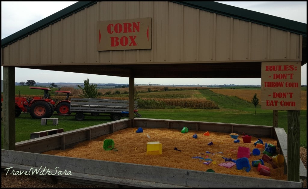 Corn Box