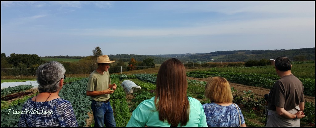 Patchwork Green Farm