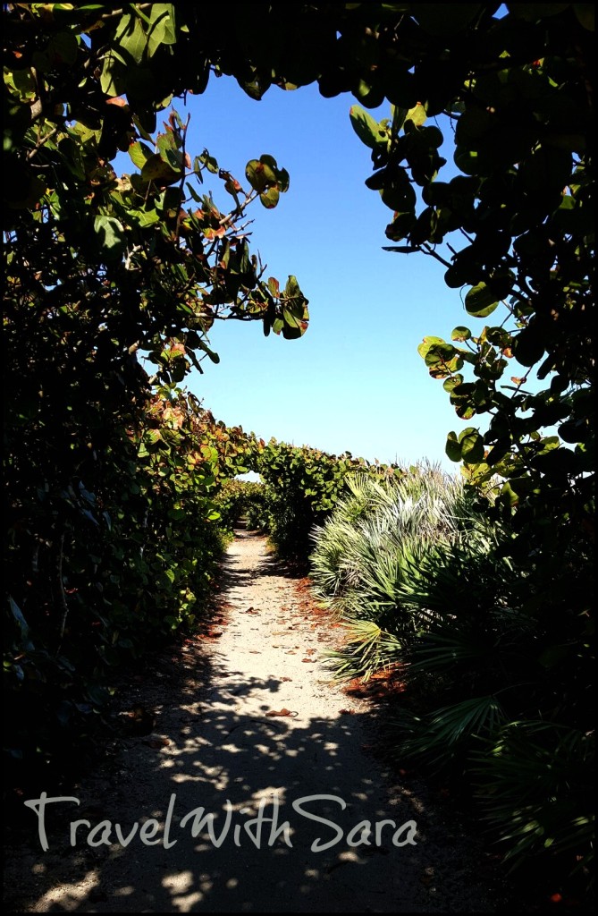 trail in blowing rocks