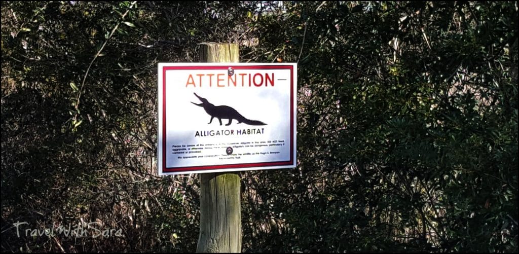 alligator sign