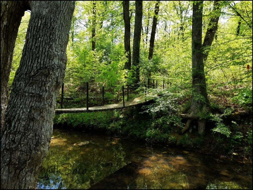 babbling brook