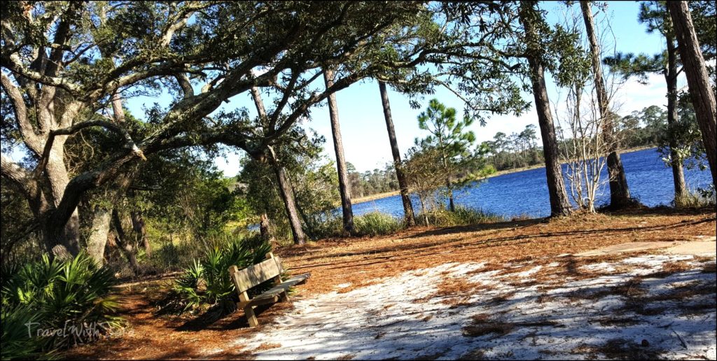 nature setting along trail