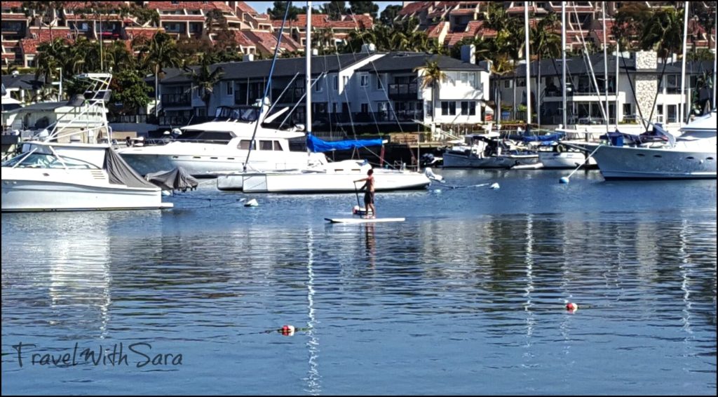 paddle boarder