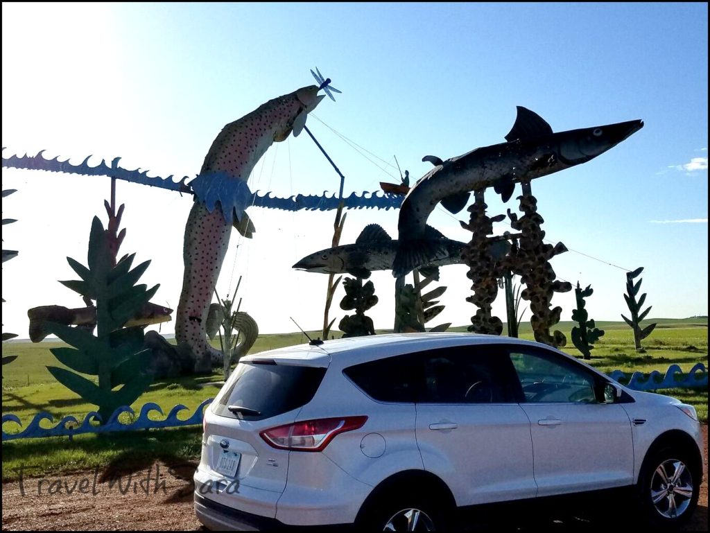 Fish with car