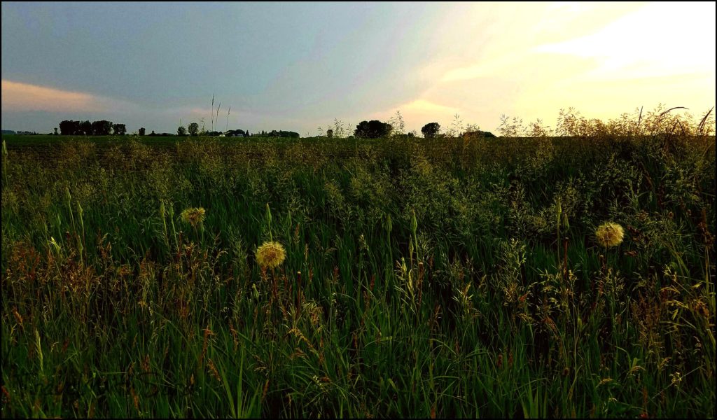 Iowa countryside