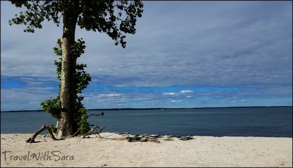 Kelleys Island Nature