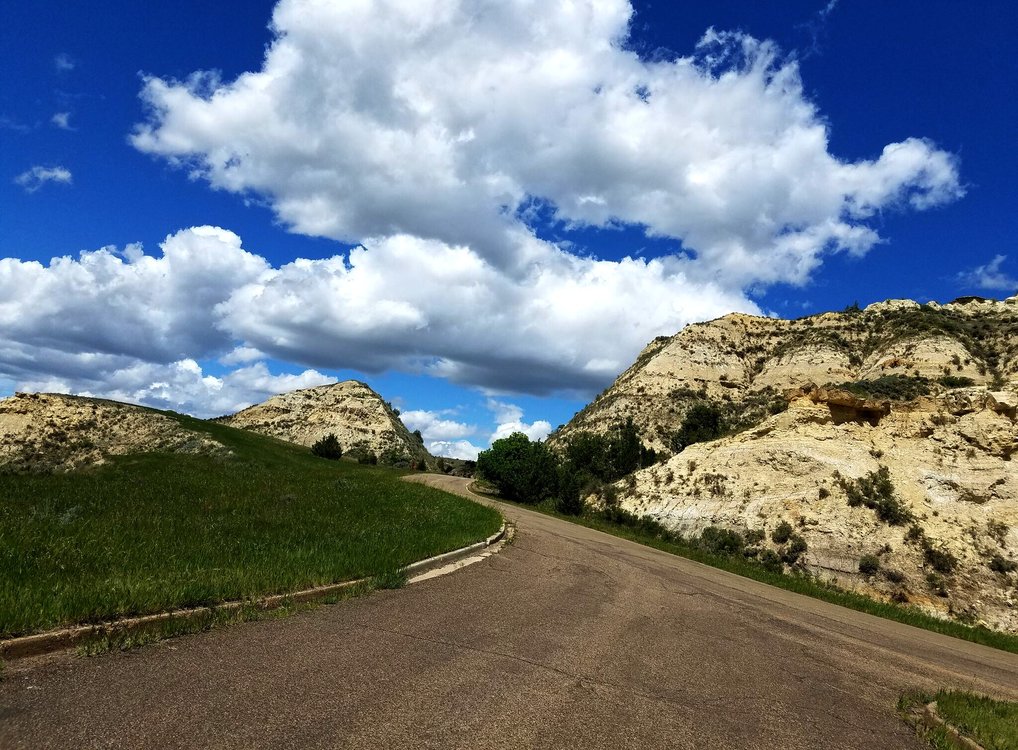 Theodore Roosevelt National Park is the Best For Families