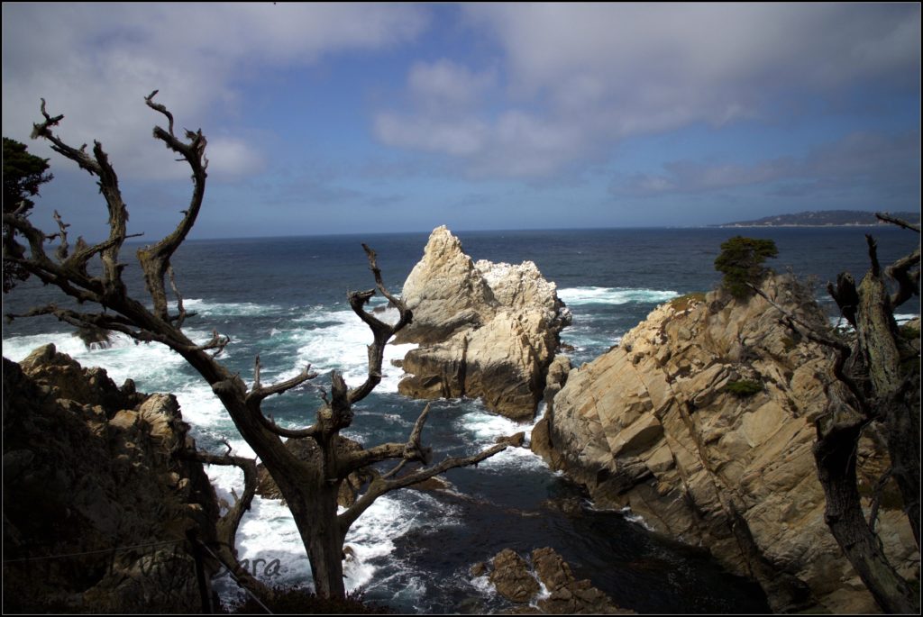 California near Carmel By The Sea