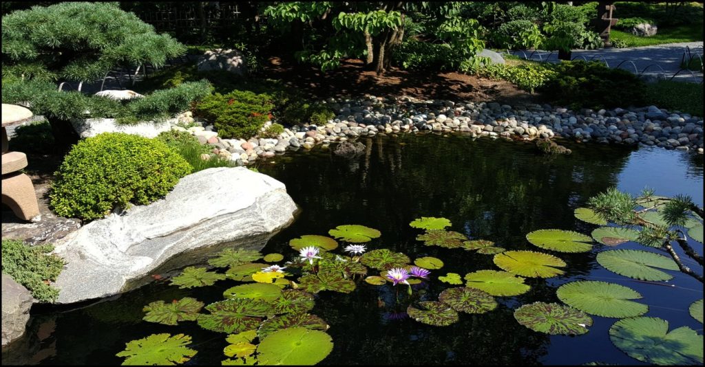 gardens at Como Park