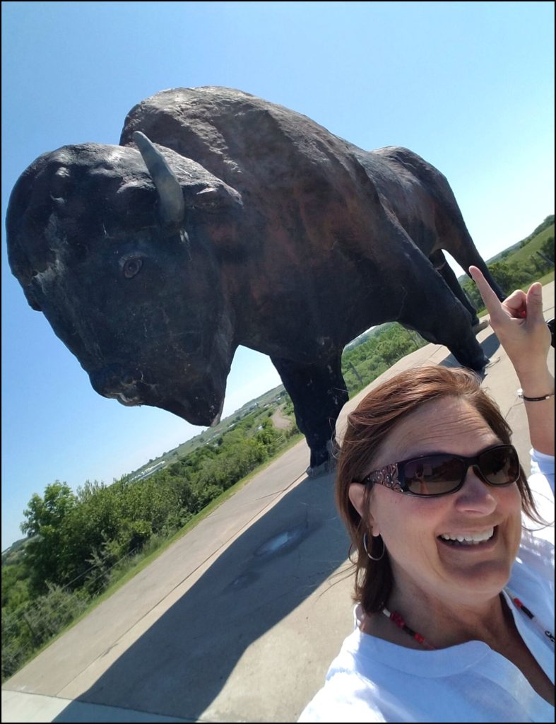 World's largest buffalo selfie