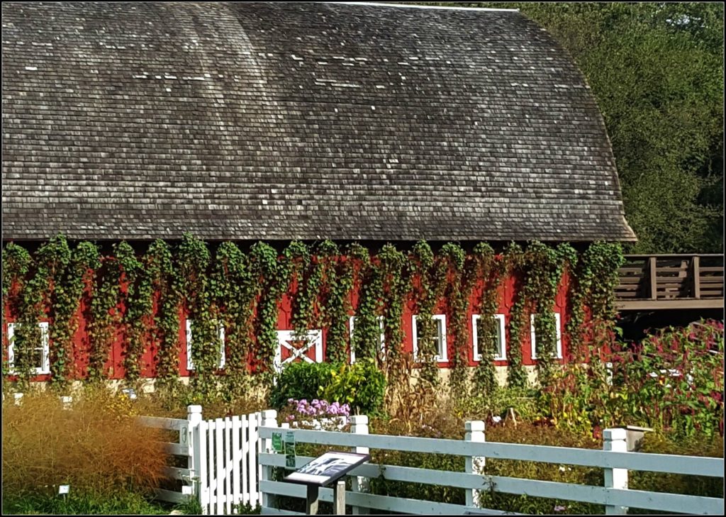 Seed Savers Barn