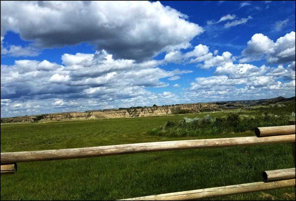 Medora View