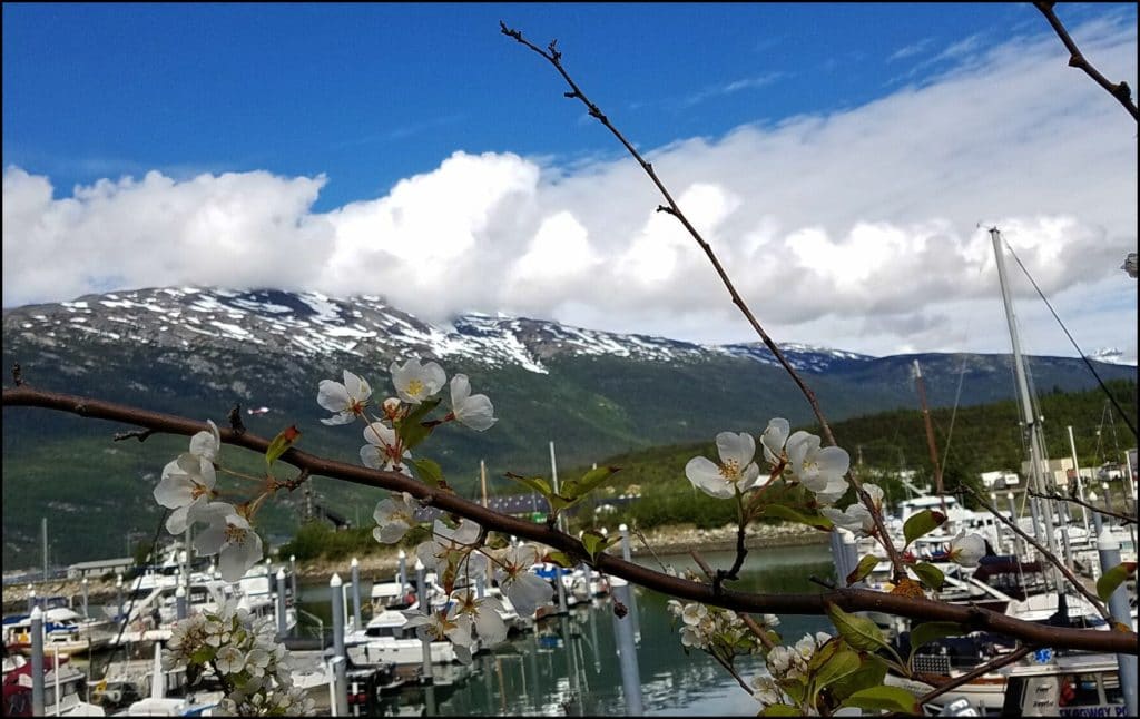 walkway in Skagway