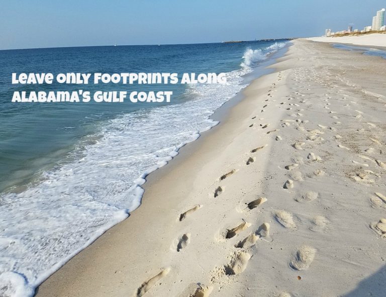Leave Only Footprints Along Alabama’s 32 Miles Of Pristine Beaches