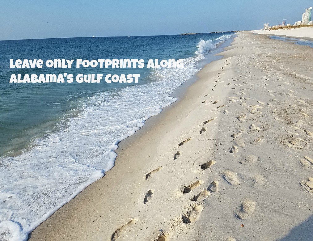 Buy An Entire Alabama Beach for Less Than $600,000