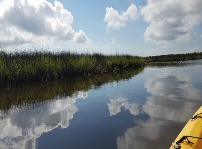 Exploring Nature By Kayak In Gulf Shores, Alabama