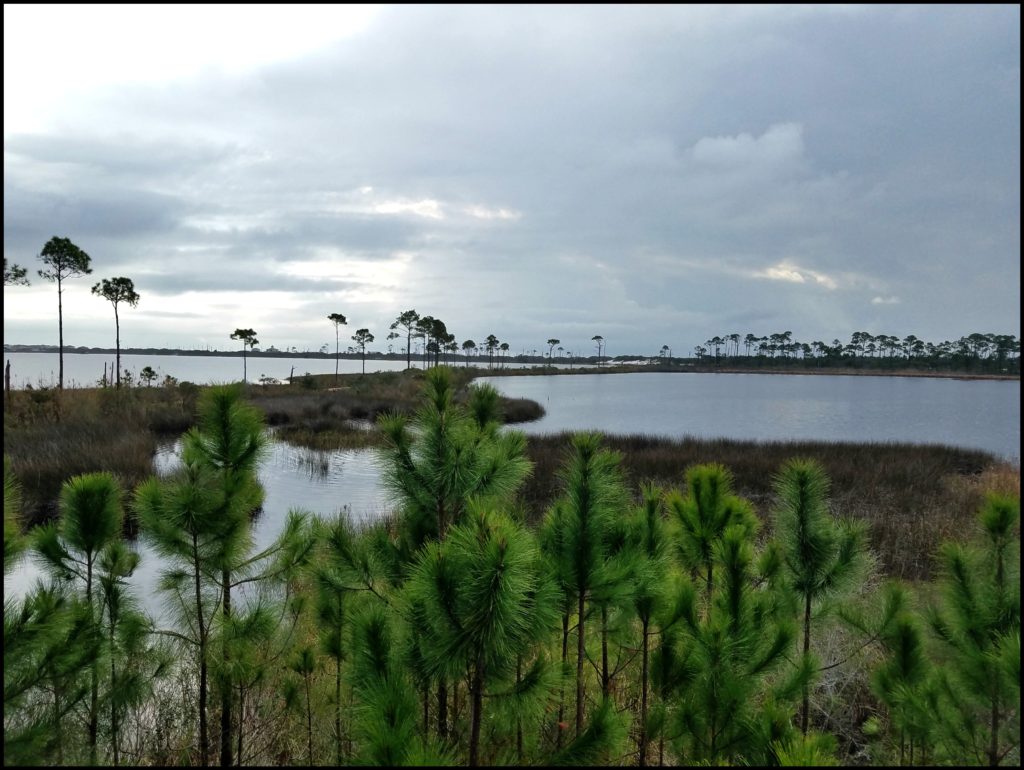 Alabama Birding Trail