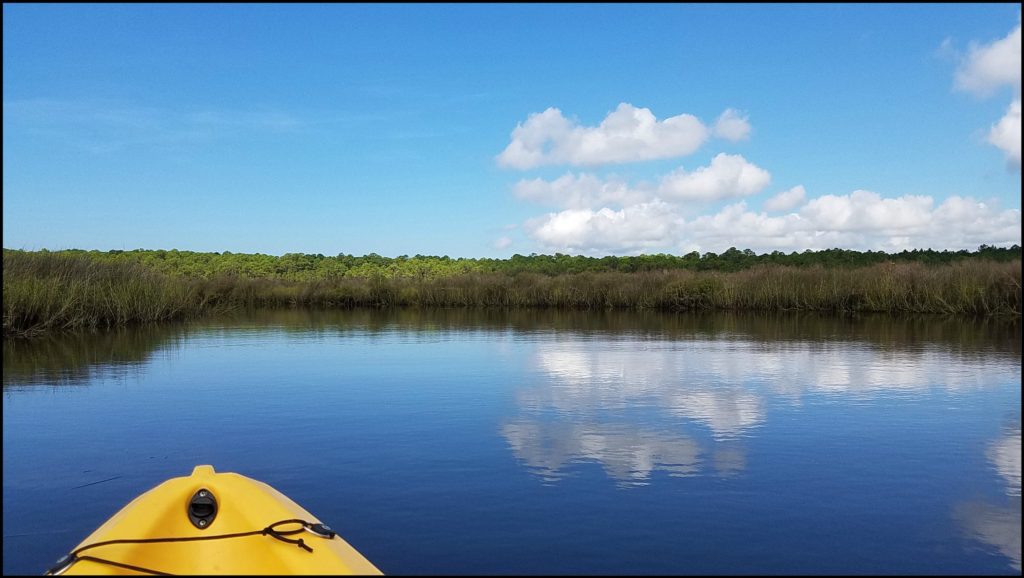 Kayaking Gulf Shores