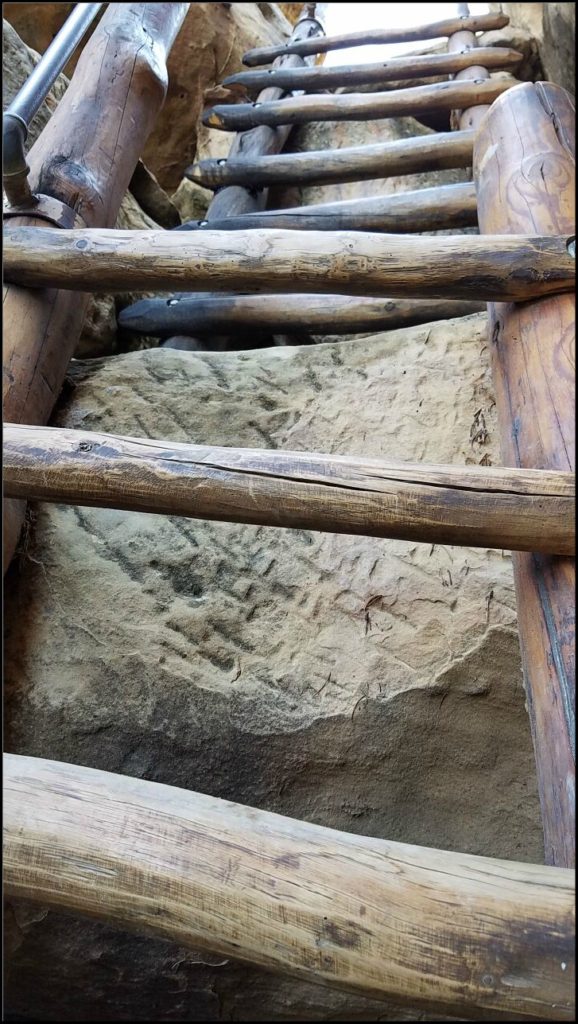 ladder at Cliff Palace