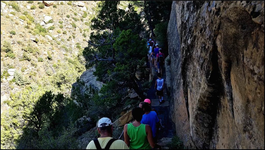 trail to cliff palace mesa verde national park