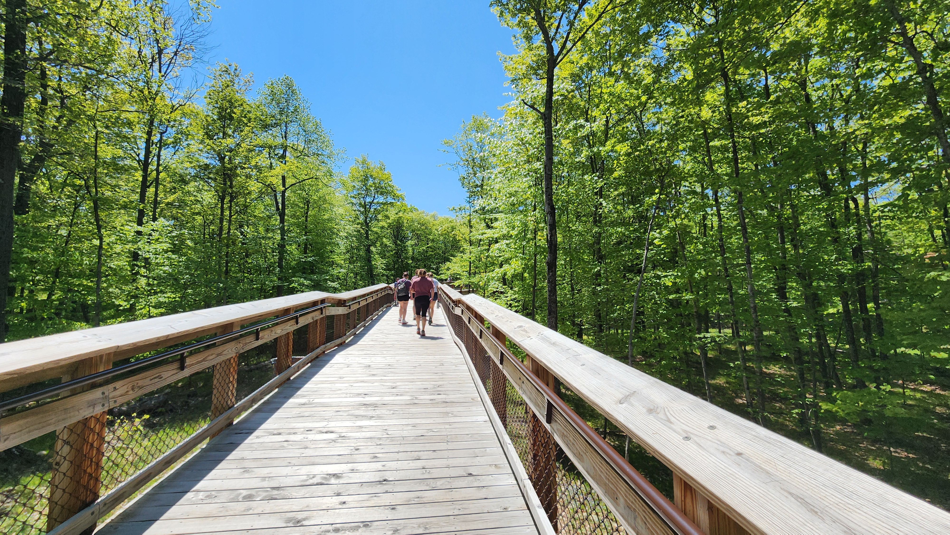 boardwalk