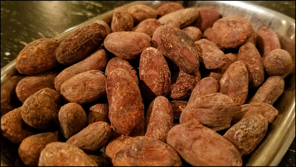 Cocoa Beans