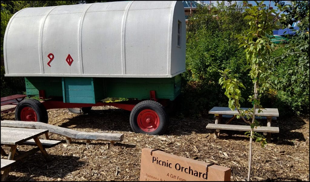 Picnic Orchard Wagon Cheyenne