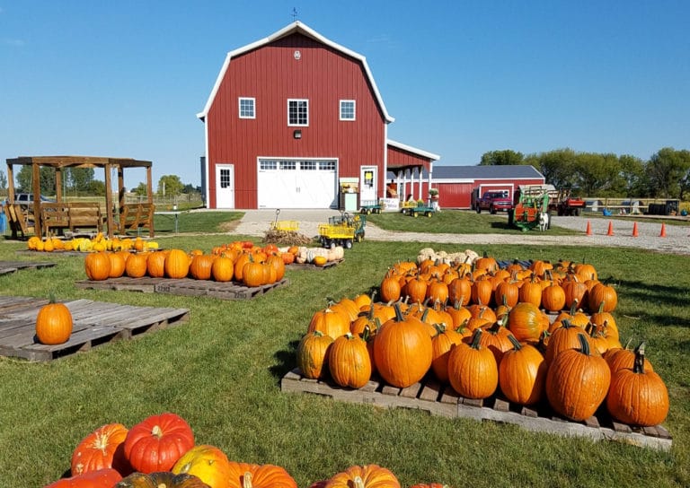 Six Pumpkin Patches & Apple Orchards That You Must Visit In The Midwest