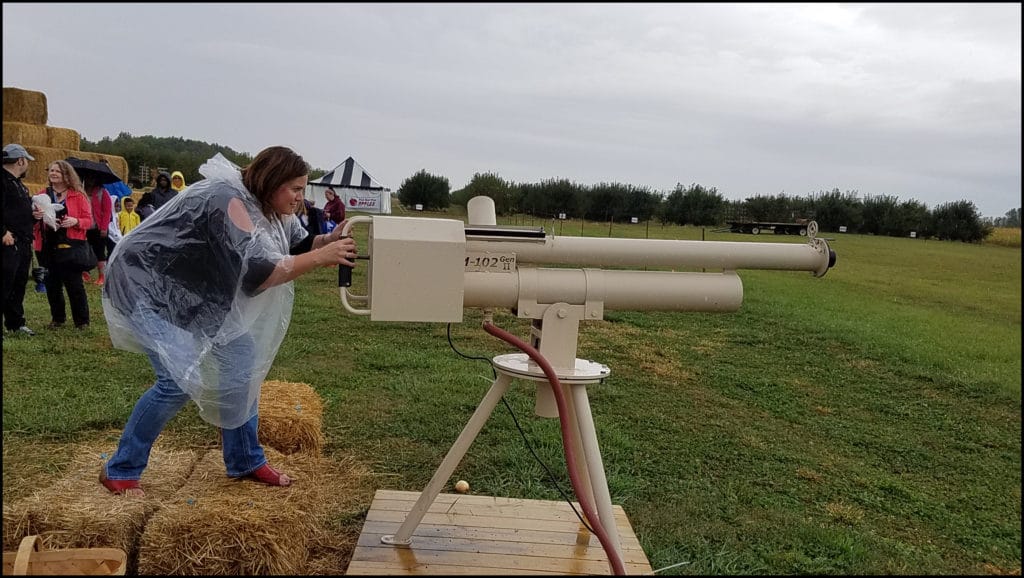 Apple Cannon Beasley's Orchard